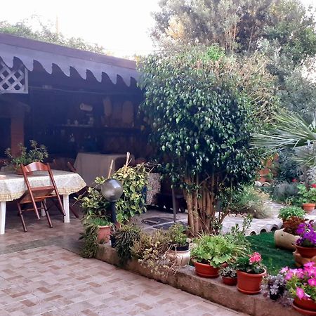 Campanedda B&B Giomar Sardegna Nord Ovest المظهر الخارجي الصورة