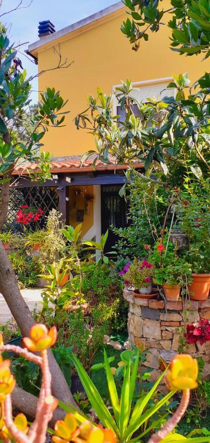 Campanedda B&B Giomar Sardegna Nord Ovest المظهر الخارجي الصورة
